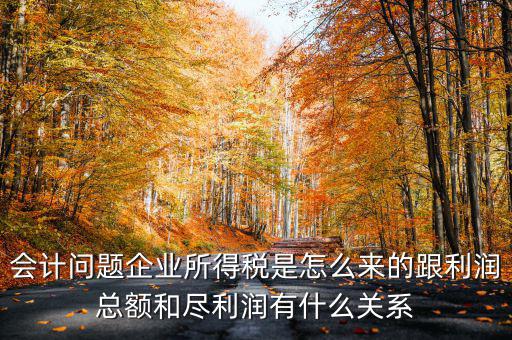 企業(yè)所得稅和什么有關(guān)，增值稅和企業(yè)所得稅有關(guān)系么