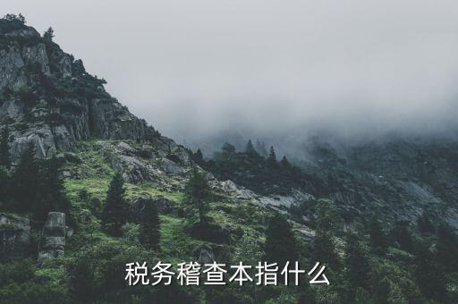 什么叫稅務(wù)稽查檢查科臺帳范本，稅務(wù)稽查本指什么