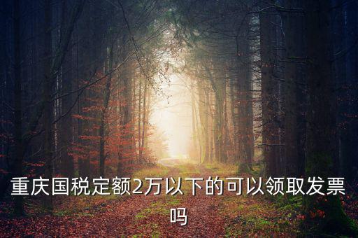 重慶用的什么定額發(fā)票，重慶國(guó)稅定額2萬(wàn)以下的可以領(lǐng)取發(fā)票嗎