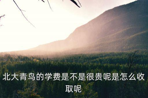 國稅局安靜工程是什么，北大青鳥的學(xué)費是不是很貴呢是怎么收取呢