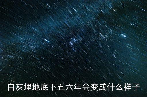 土地最底下是什么樣的，蛭石放在盆栽土壤的哪里土上還是土的最底下