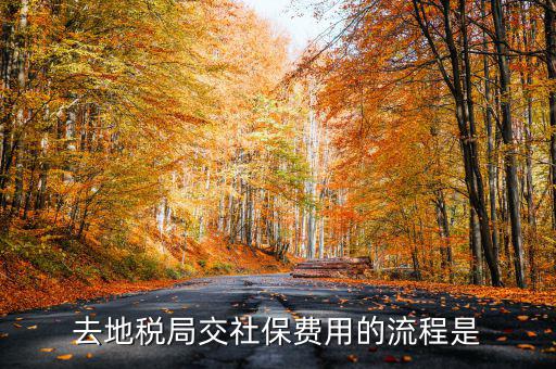 地稅局交社保需要什么手續(xù)費(fèi)，去地稅局交社保費(fèi)用的流程是