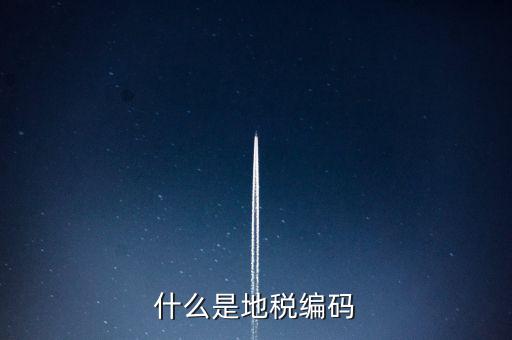稅收編號(hào)是什么意思，稅務(wù)登記證上的企業(yè)編碼是什么意思不是就是稅務(wù)號(hào)
