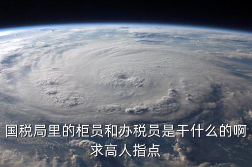 什么叫辦稅員，國稅局里的柜員和辦稅員是干什么的啊求高人指點(diǎn)