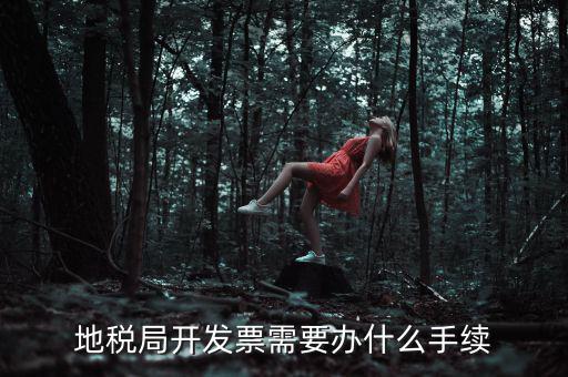 地稅申領(lǐng)發(fā)票需要什么手續(xù)，申請(qǐng)地稅發(fā)票需要什么資料