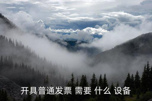 現(xiàn)在開(kāi)普通票需要什么，開(kāi)具普通發(fā)票 需要 什么 設(shè)備