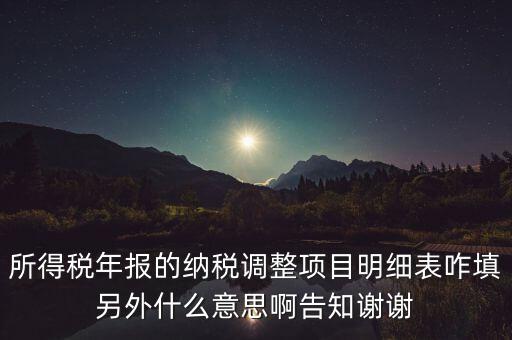 納稅調(diào)整項目明細表是什么意思，稅后調(diào)整是什么意思