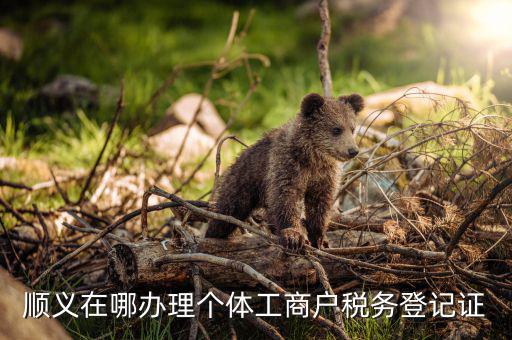 順義什么地方開(kāi)納稅證明，順義在哪辦理個(gè)體工商戶稅務(wù)登記證
