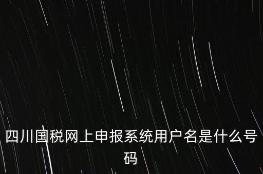 四川省地方稅務(wù)局登錄賬號是什么，在網(wǎng)上報稅登陸時用戶名是什么