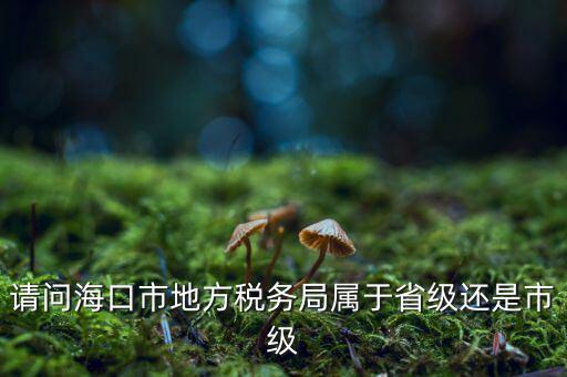 請問?？谑械胤蕉悇站謱儆谑〖夁€是市級