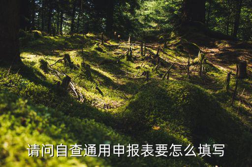 通用申報(bào)表要填什么，請問自查通用申報(bào)表要怎么填寫