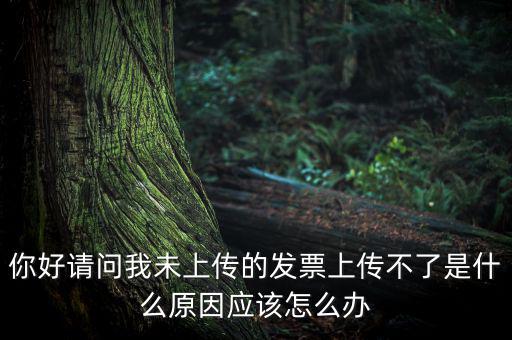 發(fā)票沒上傳什么意思，發(fā)票系統(tǒng)顯示O張未上傳發(fā)票可是在查不到提示查無此票怎么回