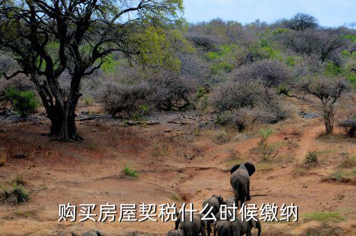 鶴壁契稅什么時(shí)候交，什么時(shí)間繳納契稅