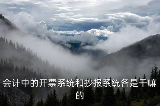 報稅開票系統(tǒng)是什么意思，每個月一號重登金稅盤開票系統(tǒng)是什么意思