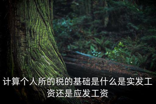 稅金的計(jì)算基礎(chǔ)是什么，計(jì)稅基礎(chǔ)是什么意思