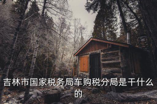 車購(gòu)稅局主要干什么，新車去地稅局干什么
