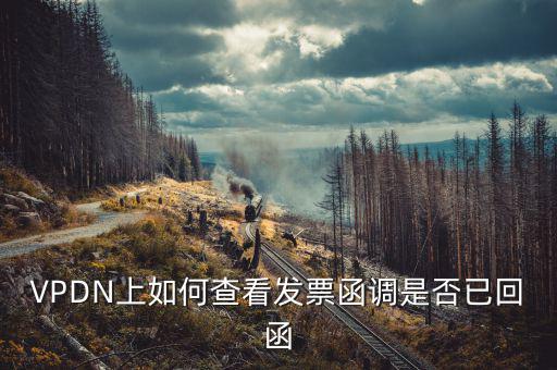 發(fā)票為什么會被復(fù)函，VPDN上如何查看發(fā)票函調(diào)是否已回函