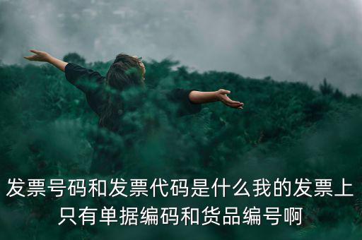 發(fā)票號碼和發(fā)票代碼是什么我的發(fā)票上只有單據編碼和貨品編號啊