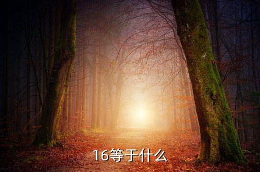 什么深圳1 6政策指，16等于什么