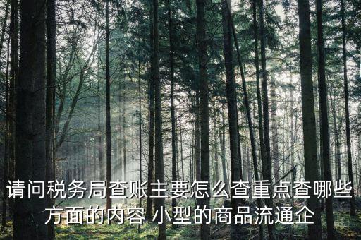 重點(diǎn)稅源稅務(wù)局看什么，稅務(wù)局主要看報表的什么