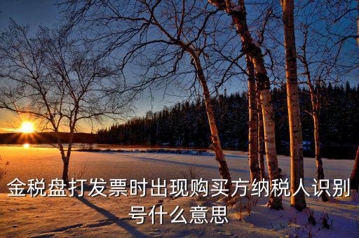 發(fā)票的付款方識別號是什么意思，開票方識別號是什么意思