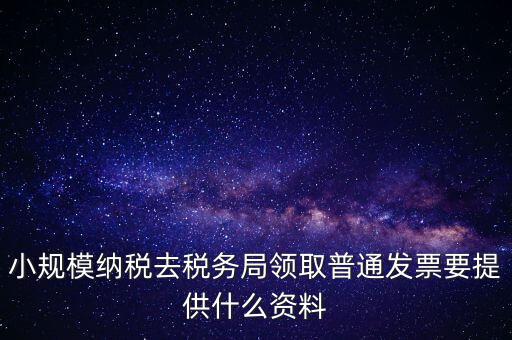 小規(guī)模納稅去稅務局領取普通發(fā)票要提供什么資料