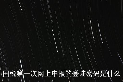 國(guó)稅的登錄密碼是什么，國(guó)稅第一次網(wǎng)上申報(bào)的登陸密碼是什么