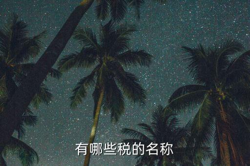 什么是稅收名稱(chēng)大類(lèi)，增值稅普通發(fā)票的商品名稱(chēng)寫(xiě)大類(lèi)稅務(wù)局能通過(guò)嗎