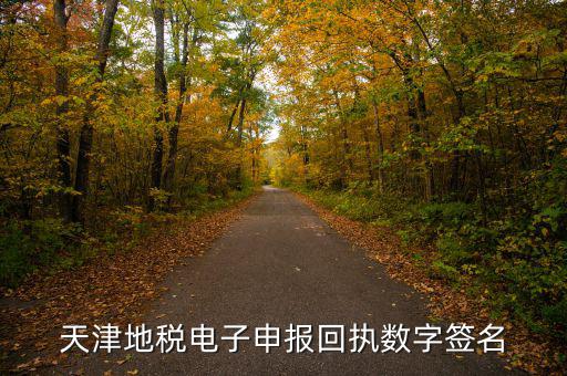 天津地稅自查表是什么，天津地稅電子申報回執(zhí)數字簽名