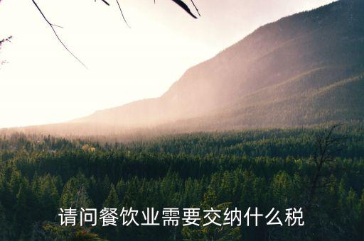 餐飲業(yè) 公司 交什么稅，餐飲企業(yè)繳納哪些稅