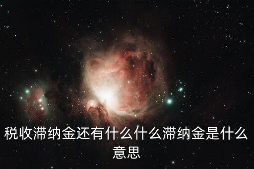 地稅滯納金是什么意思，稅收滯納金還有什么什么滯納金是什么意思