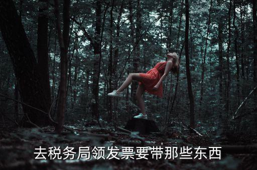國(guó)稅領(lǐng)取發(fā)票需要帶什么，去國(guó)稅局領(lǐng)發(fā)票要帶什么