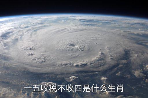 什么生肖要打稅，稅意新榮打一生肖