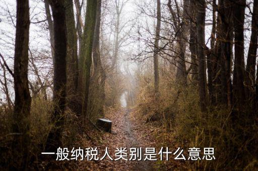 納稅人類別填什么，一般納稅人類別是什么意思