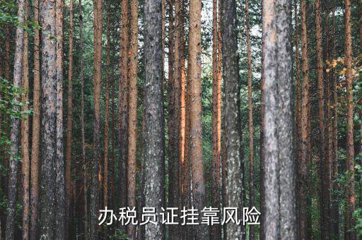 實名辦稅員有什么風(fēng)險，里面有個辦稅人要填我的名字會不會付法律責(zé)任有什么風(fēng)險沒