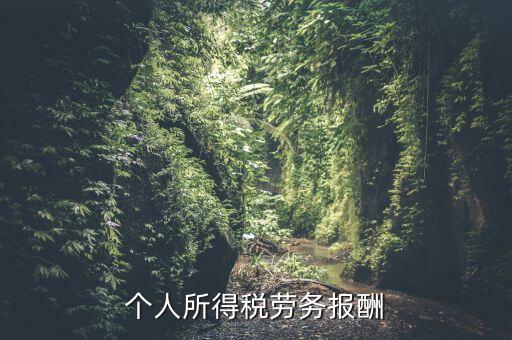 個(gè)稅什么情況勞務(wù)報(bào)酬，有關(guān)個(gè)稅勞務(wù)報(bào)酬