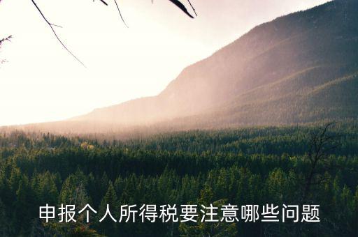 個(gè)體核稅要注意什么，個(gè)體戶營(yíng)業(yè)執(zhí)照及稅務(wù)辦理時(shí)的注意事項(xiàng)
