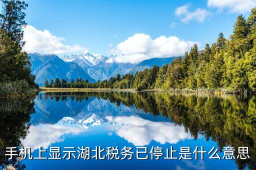 國稅業(yè)務停用什么意思，手機上顯示湖北稅務已停止是什么意思