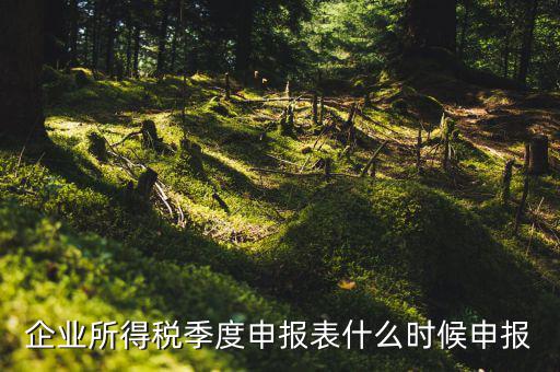 季度稅是在什么時候報，年度季度企業(yè)所得稅申報時間