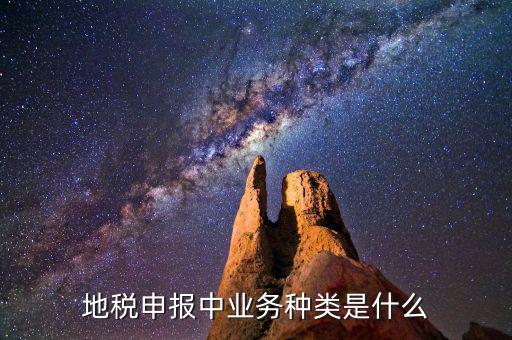 地稅申報中業(yè)務種類是什么