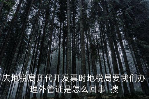 為什么要開電子外管證，像您咨詢一下關(guān)于外管證的事宜我前一陣開了外管證您說是避免