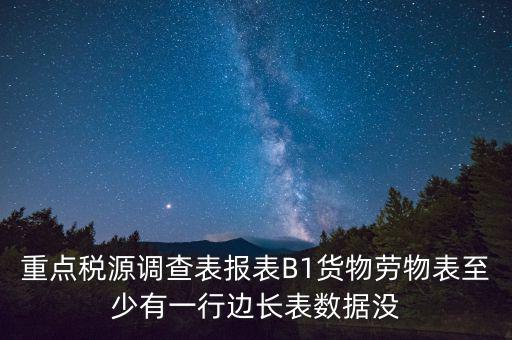 重點(diǎn)稅源調(diào)查表報表B1貨物勞物表至少有一行邊長表數(shù)據(jù)沒