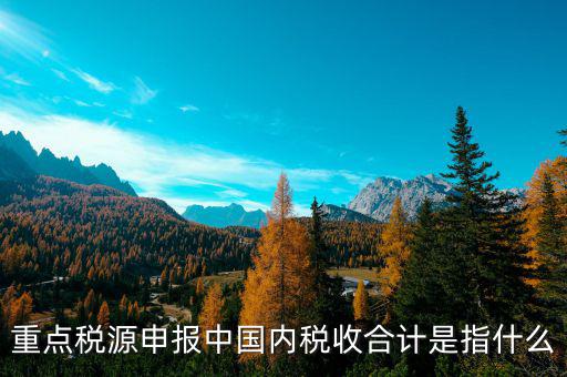 月核定稅額合計是什么，價稅合計是什么意思呢
