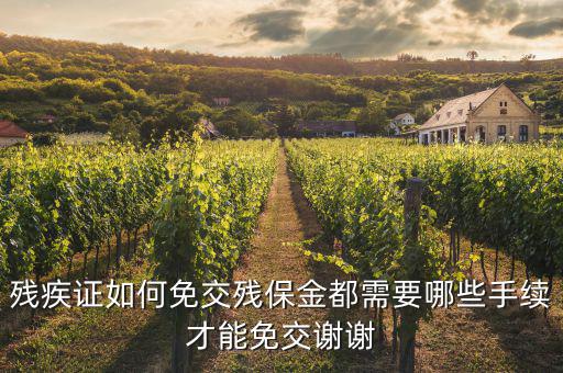 殘疾人免什么資料，在職工殘疾人需要提交哪些資料可以免交工資稅