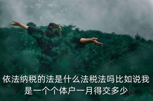 什么是依法納稅人，依法納稅的法是什么法稅法嗎比如說我是一個(gè)個(gè)體戶一月得交多少