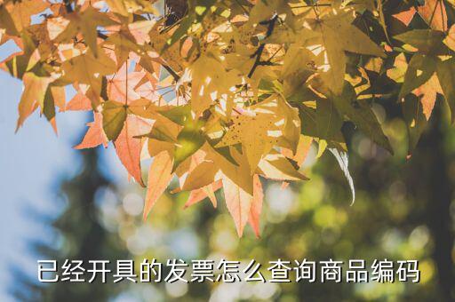 已經開具的發(fā)票怎么查詢商品編碼