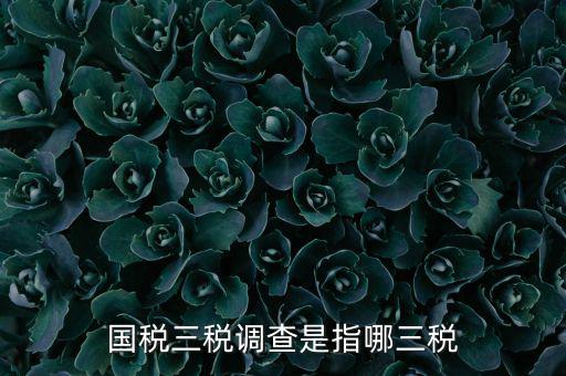 全國稅收調(diào)查是什么，全國稅收調(diào)查表中審核公式IFXXBB8 1 XXBB8 4