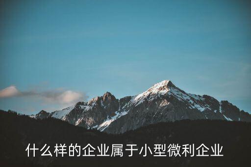 什么企業(yè)算小微企業(yè)，由什么部門(mén)來(lái)核準(zhǔn)企業(yè)屬于小微企業(yè)