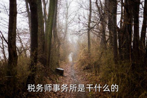 稅務(wù)師事務(wù)所 外勤是做什么的，稅務(wù)師事務(wù)所是干什么的