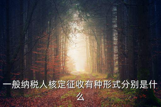 國稅函調(diào)是什么形式，國稅函調(diào)系統(tǒng)可以發(fā)起普通發(fā)票協(xié)查嗎